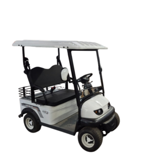 1 Seater EV Cart