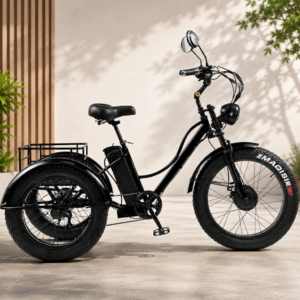 Electric Tricycle
