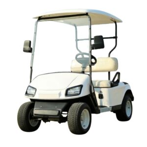 2 Seater EV Cart