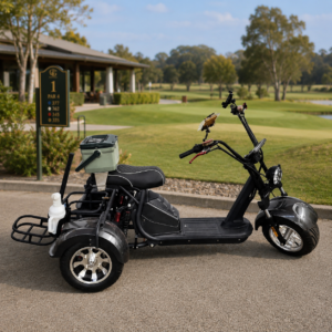 CP 600 Trike