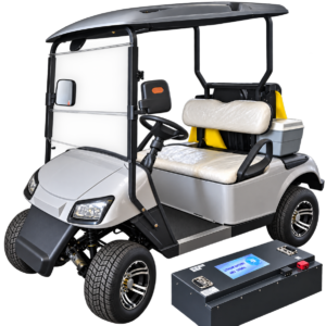 EV Golf Cart VY-A2